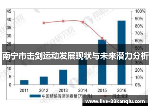 南宁市击剑运动发展现状与未来潜力分析
