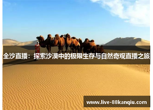 全沙直播：探索沙漠中的极限生存与自然奇观直播之旅