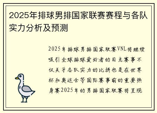 2025年排球男排国家联赛赛程与各队实力分析及预测