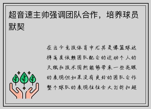 超音速主帅强调团队合作，培养球员默契